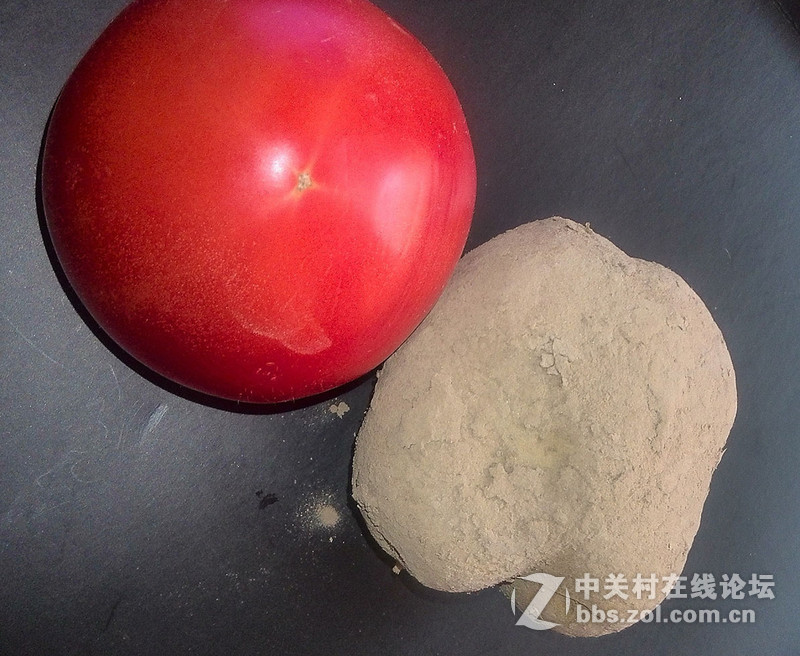 西红柿与养育  【d2】