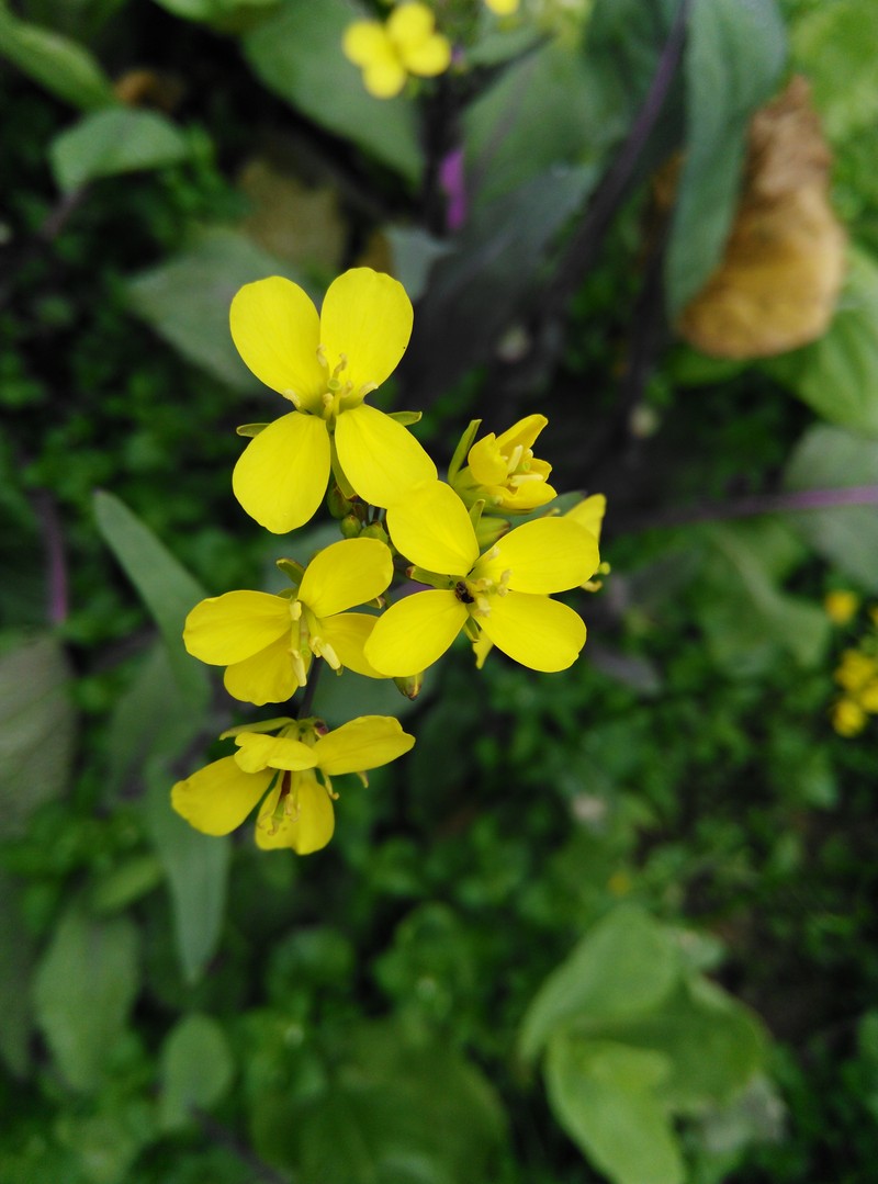 2015年春节摄影原片