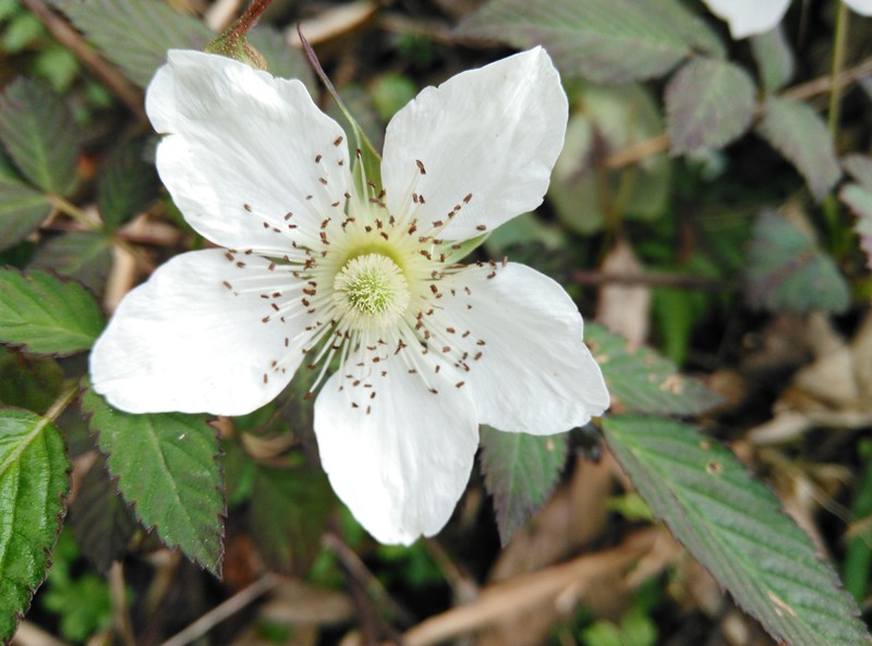 2015年春节摄影原片