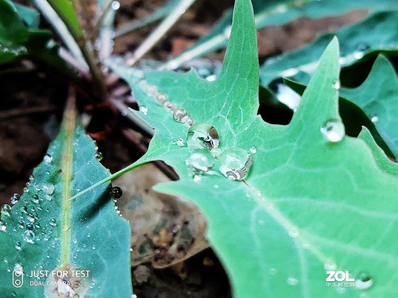 五大方面体验：情怀满满的魅族16s Pro如何“绝地反击”？