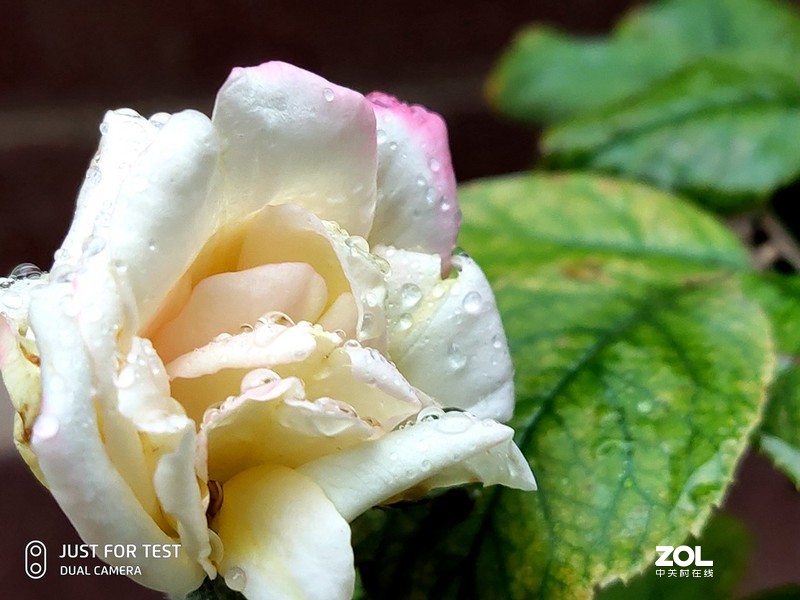 五大方面体验：情怀满满的魅族16s Pro如何“绝地反击”？