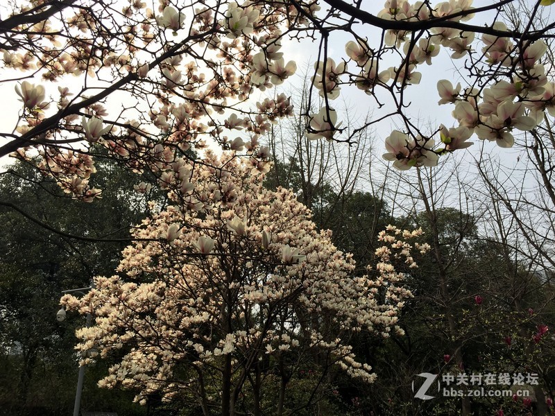 iphone6+随玩随拍