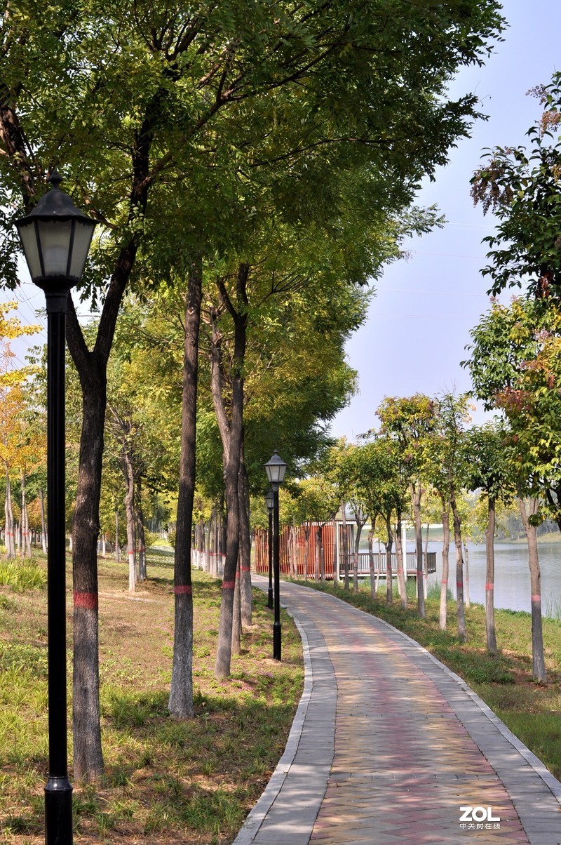 残幅机定焦头拍风景