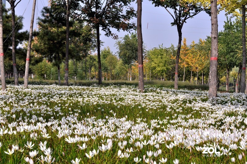 残幅机定焦头拍风景