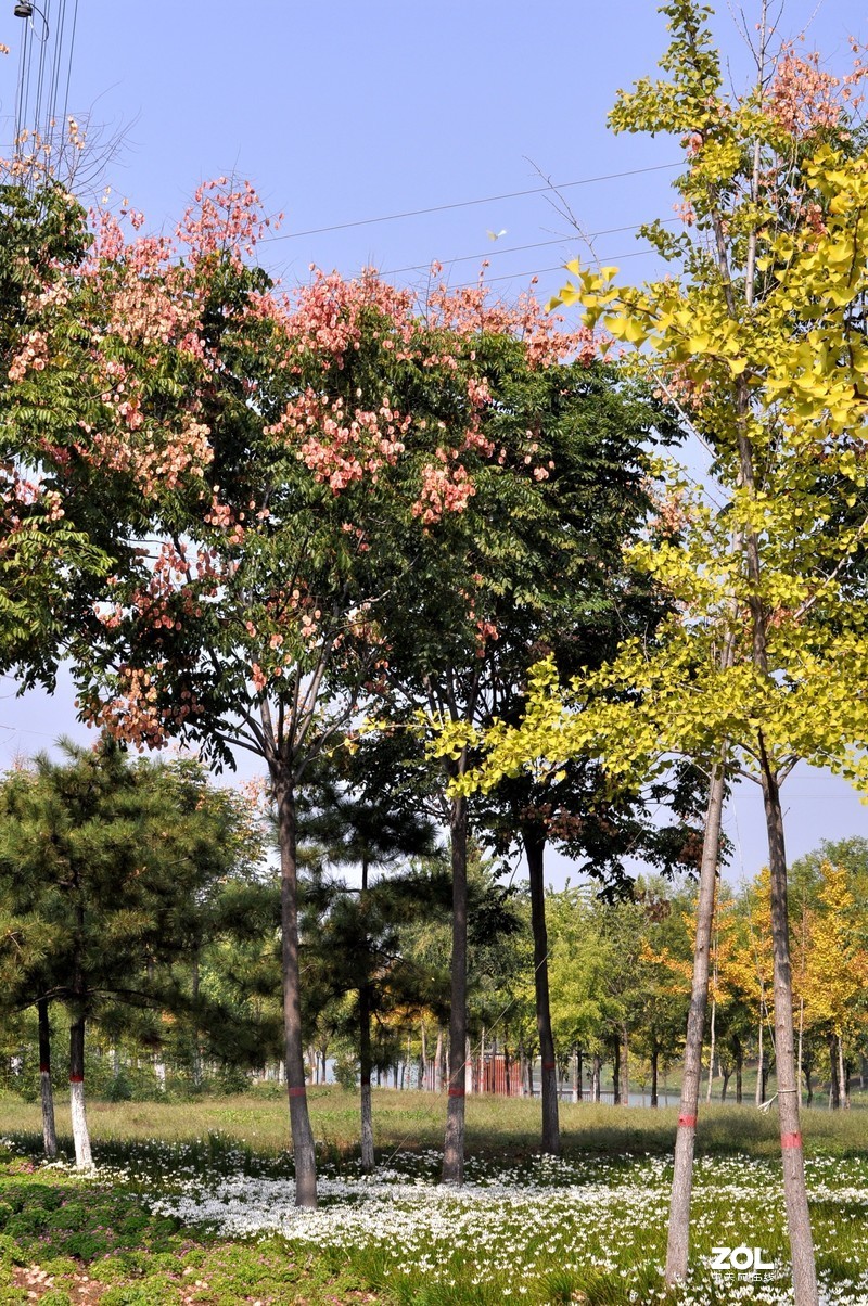 残幅机定焦头拍风景