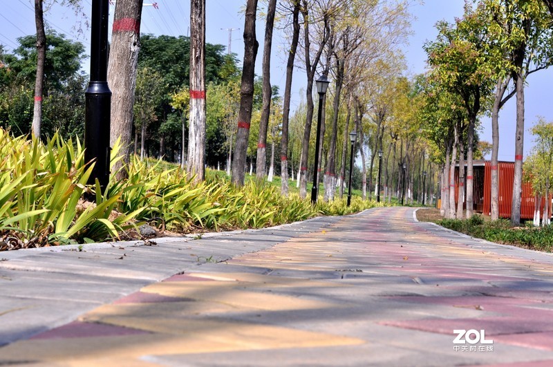 残幅机定焦头拍风景