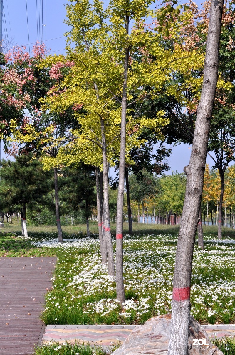 残幅机定焦头拍风景