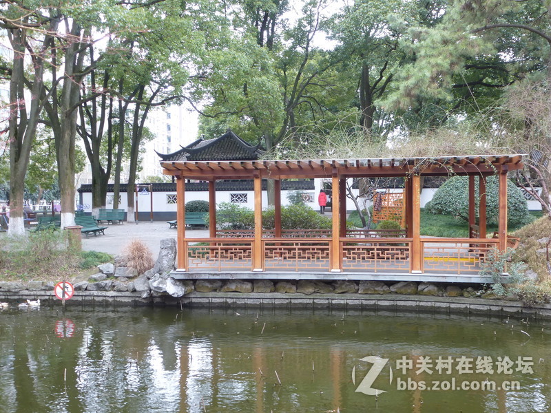 2015上海莘庄公园梅花展随拍