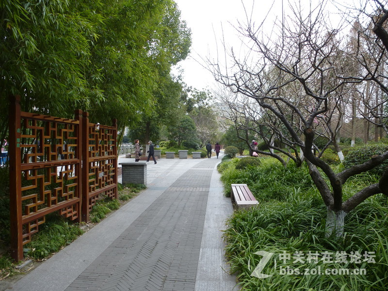 2015上海莘庄公园梅花展随拍