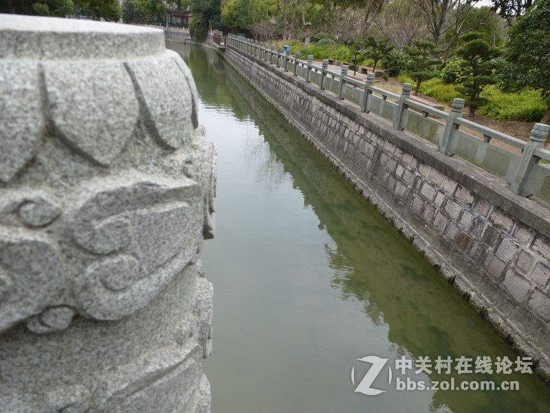 2015上海莘庄公园梅花展随拍