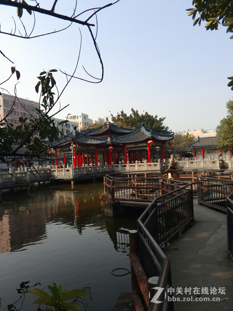 周日早上，天气还不错，用手机试拍几张