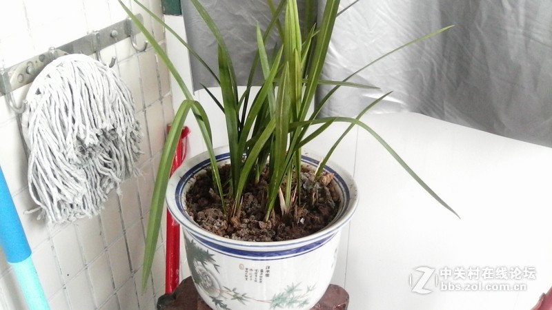 #畅玩平板 好玩不贵#华为荣耀畅玩平板T1 综合体验篇