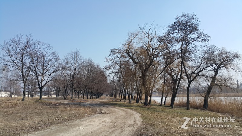 欧洲行货SM-910欧洲拍摄欧洲郊外