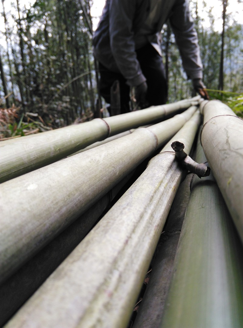 2015年春节摄影原片