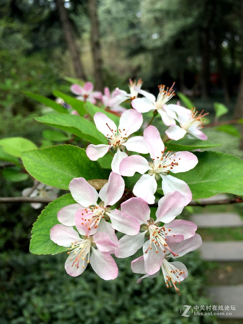 iphone6+随玩随拍