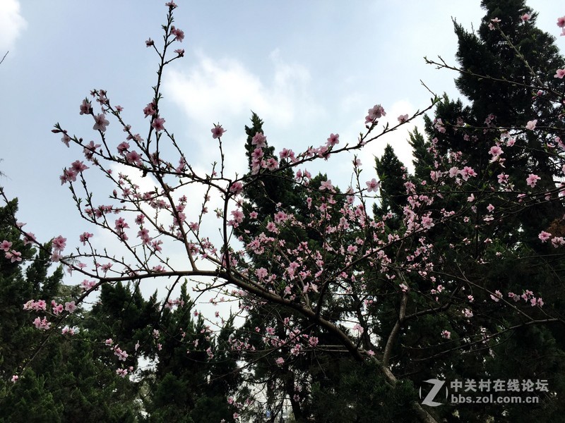 iphone6+随玩随拍