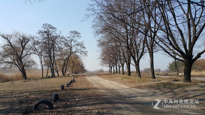 欧洲行货SM-910欧洲拍摄欧洲郊外