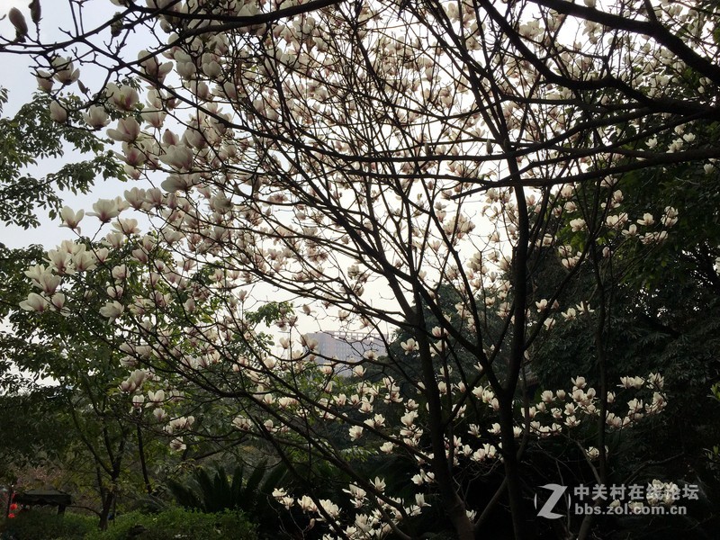 iphone6+随玩随拍