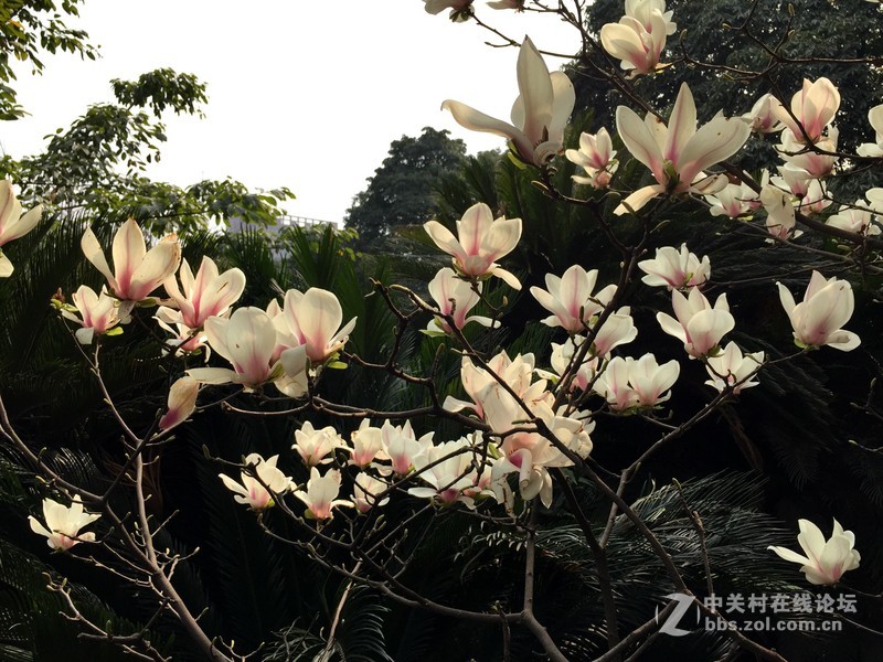 iphone6+随玩随拍