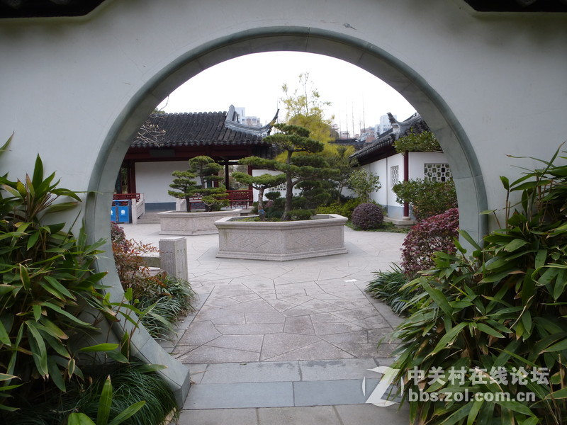 2015上海莘庄公园梅花展随拍