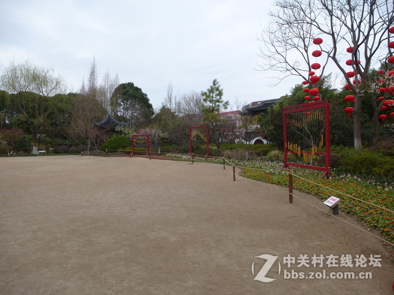 2015上海莘庄公园梅花展随拍