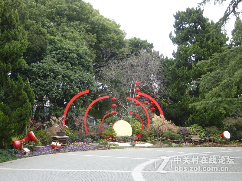 2015上海莘庄公园梅花展随拍