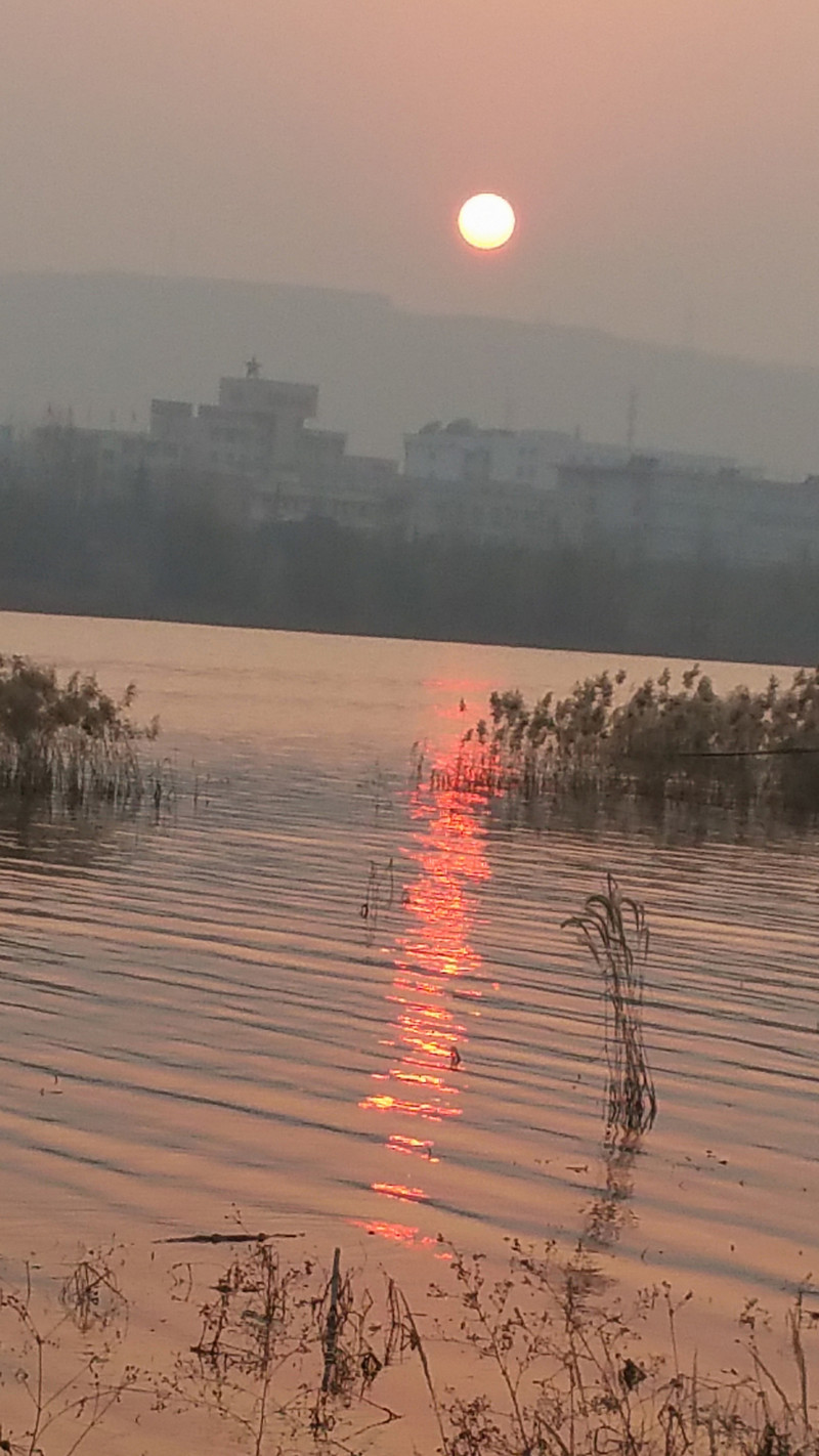 note4拍摄的冬景