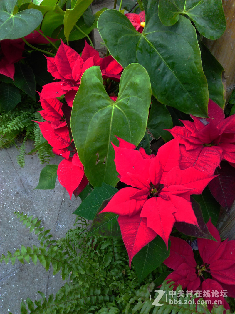 #冬日密语，日系私拍#一次冬日春夏的邂逅~2