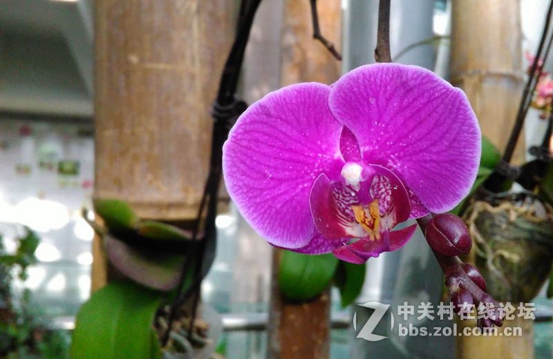 #冬日密语，日系私拍#一次冬日春夏的邂逅~2