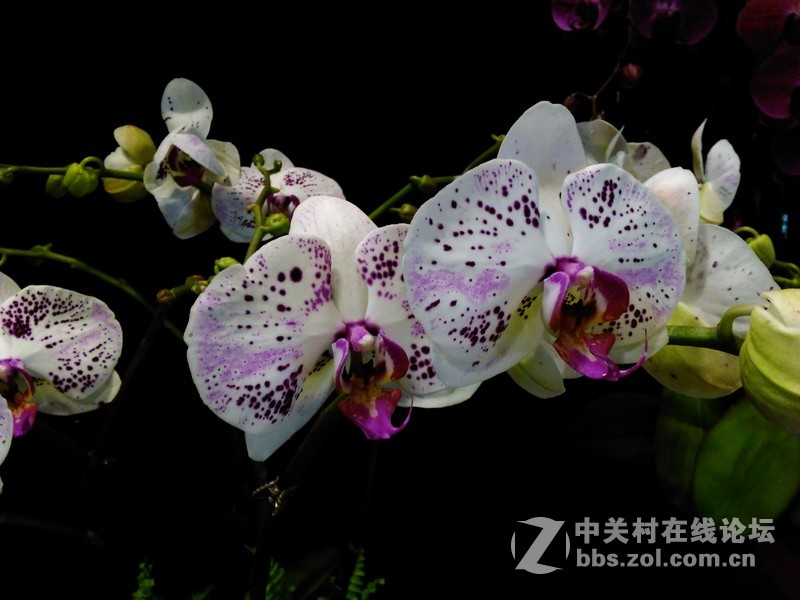 #冬日密语，日系私拍#一次冬日春夏的邂逅~2