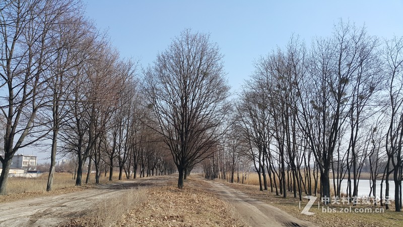 欧洲行货SM-910欧洲拍摄欧洲郊外