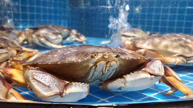 星空体育平台Note10评测：持币观望的消费者可以下单了