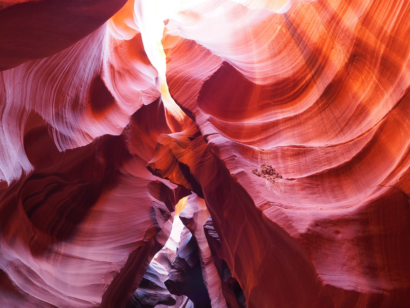 与众不同，傲视群雄，奥林巴斯的个性！