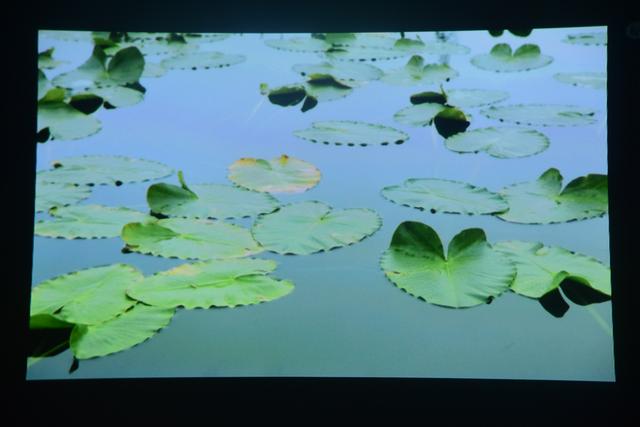 #投影仪# 口袋里的投影仪—随时随地的电影院京造微型投影仪HDP200