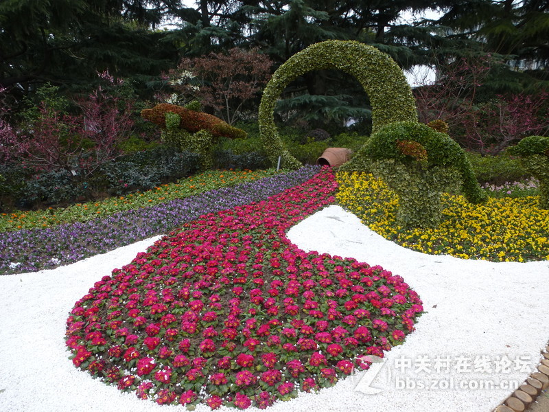 2015上海莘庄公园梅花展随拍