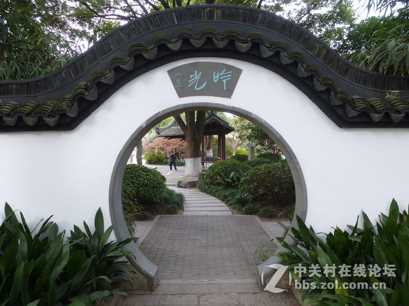 2015上海莘庄公园梅花展随拍