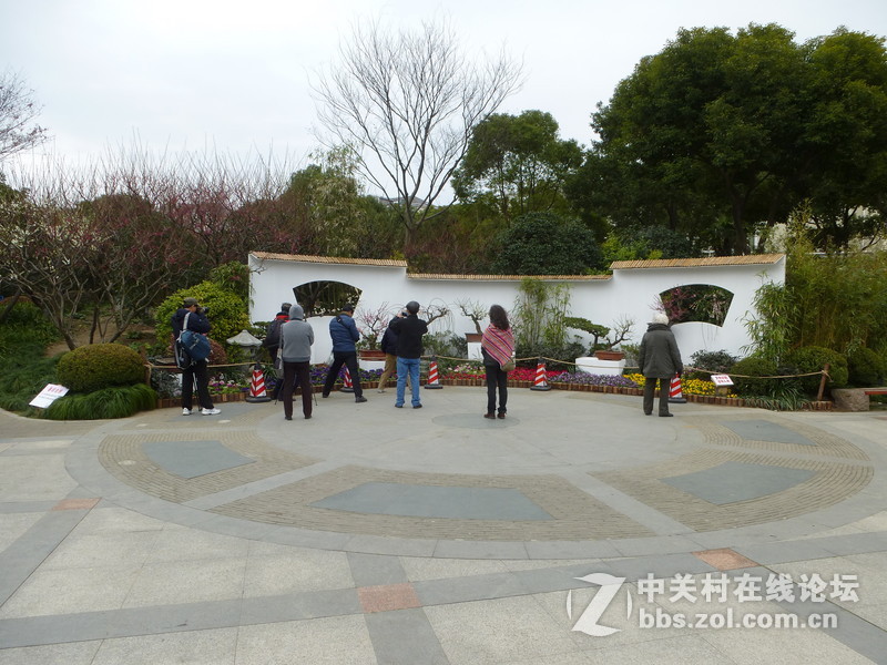 2015上海莘庄公园梅花展随拍