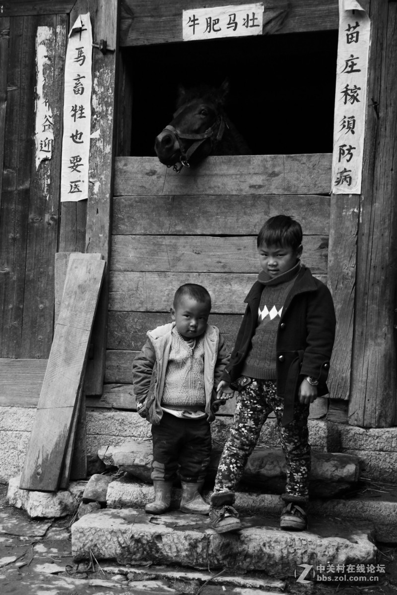 同样是“活着”