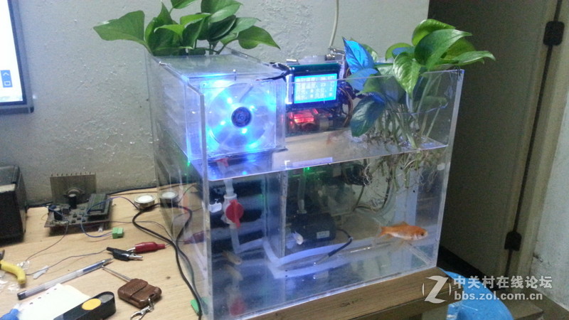 任性主机—屌丝二代