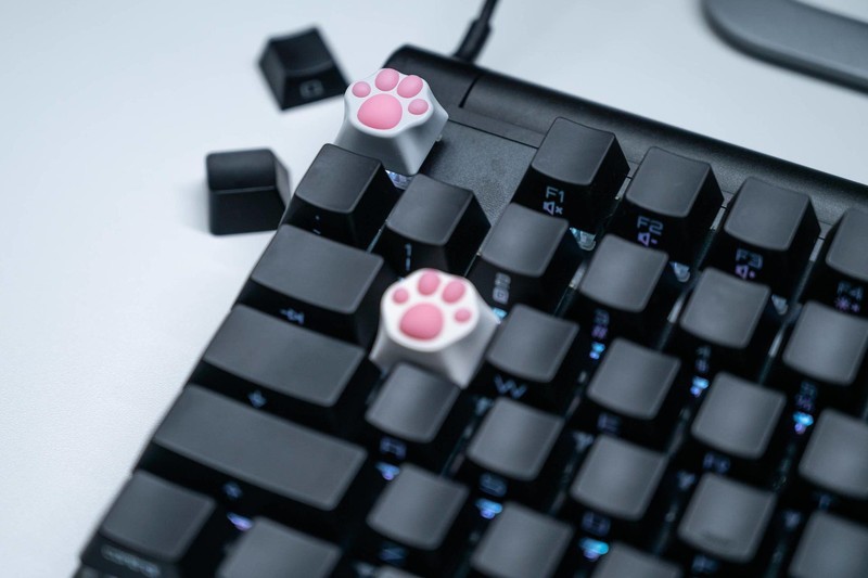 没有忍住的剁手，樱桃MX8.0RGB键盘+樱桃MC8.1游戏鼠标