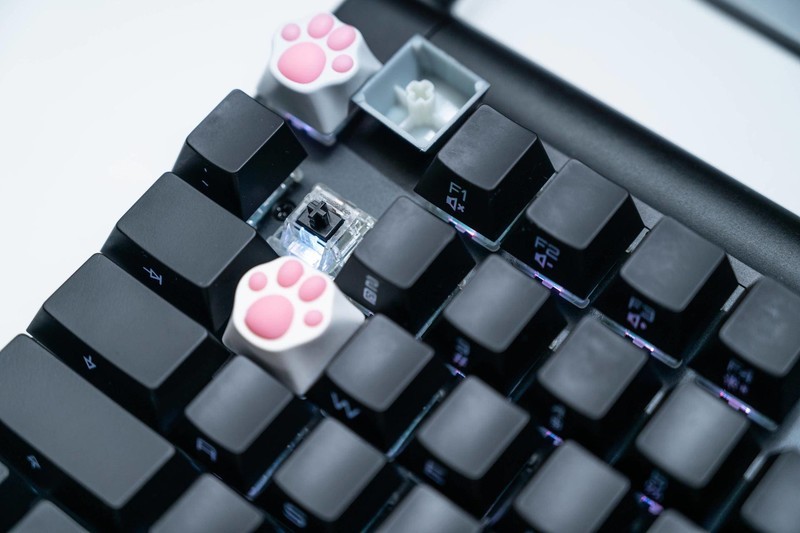 没有忍住的剁手，樱桃MX8.0RGB键盘+樱桃MC8.1游戏鼠标