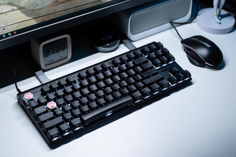 没有忍住的剁手，樱桃MX8.0RGB键盘+樱桃MC8.1游戏鼠标