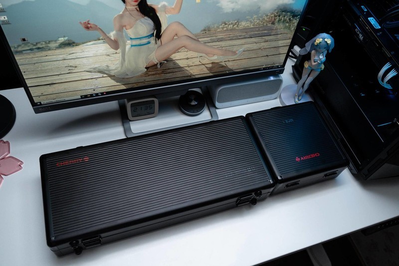 没有忍住的剁手，樱桃MX8.0RGB键盘+樱桃MC8.1游戏鼠标