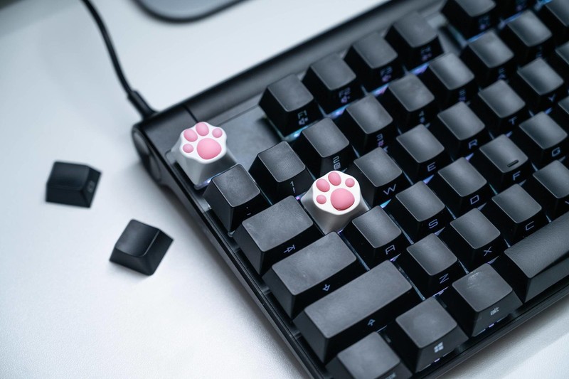 没有忍住的剁手，樱桃MX8.0RGB键盘+樱桃MC8.1游戏鼠标