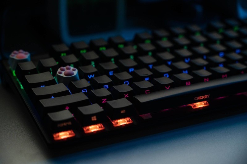 没有忍住的剁手，樱桃MX8.0RGB键盘+樱桃MC8.1游戏鼠标