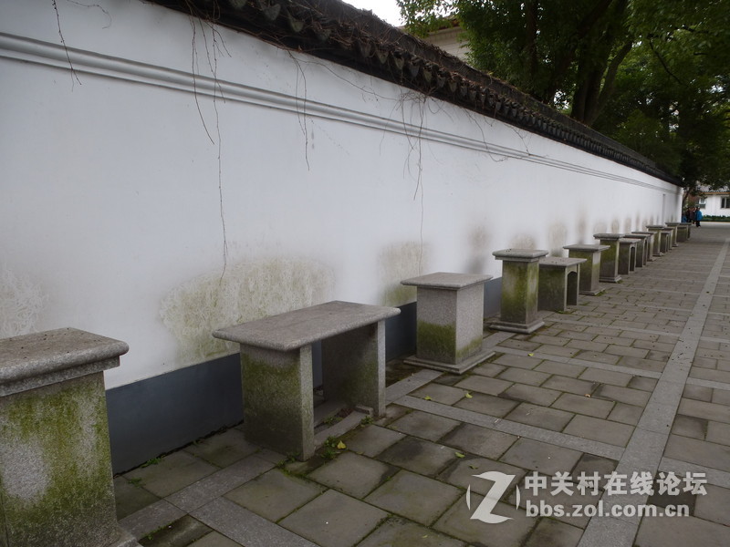 2015上海莘庄公园梅花展随拍