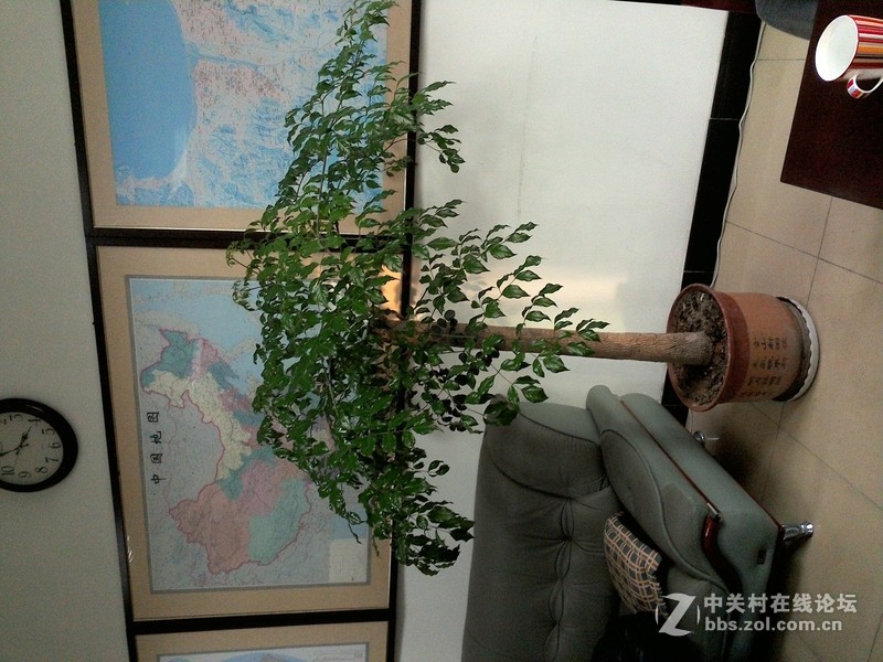 #我和N1有个约会#诺记天蚕变，New divide，New day！