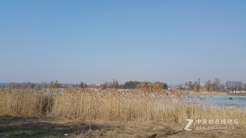 欧洲行货SM-910欧洲拍摄欧洲郊外