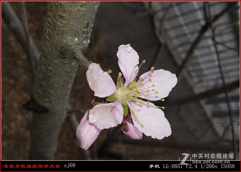 D857 手机拍片也疯狂——阴天手机拍陶然亭风景