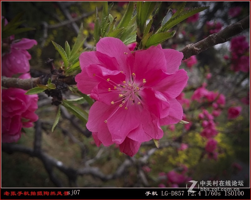 D857 手机拍片也疯狂——阴天手机拍陶然亭风景